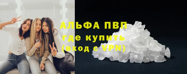 тгк Инсар