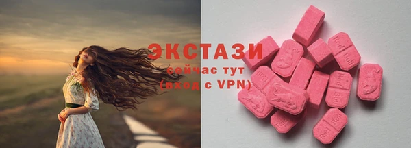 тгк Инсар
