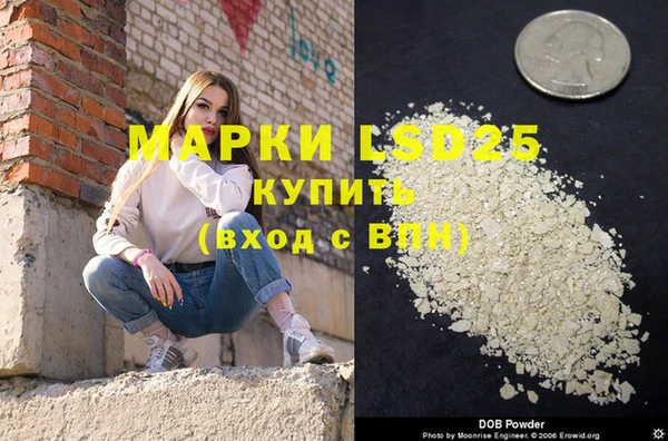 тгк Инсар