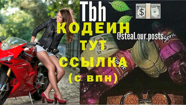 тгк Инсар