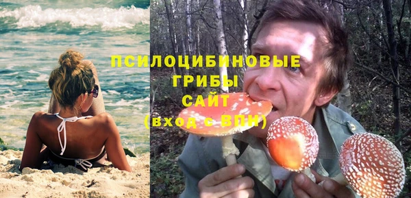 дживик Зерноград