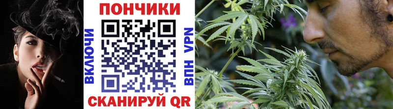 Купить где  Зеленокумск  Каннабис Ganja 